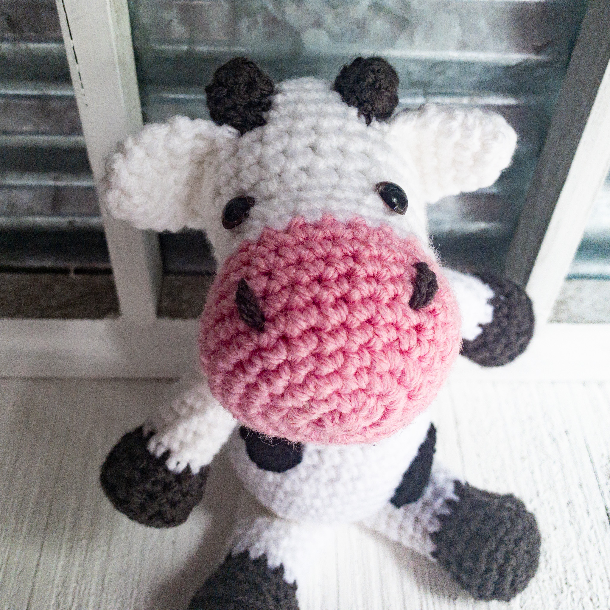 cow-baby-2