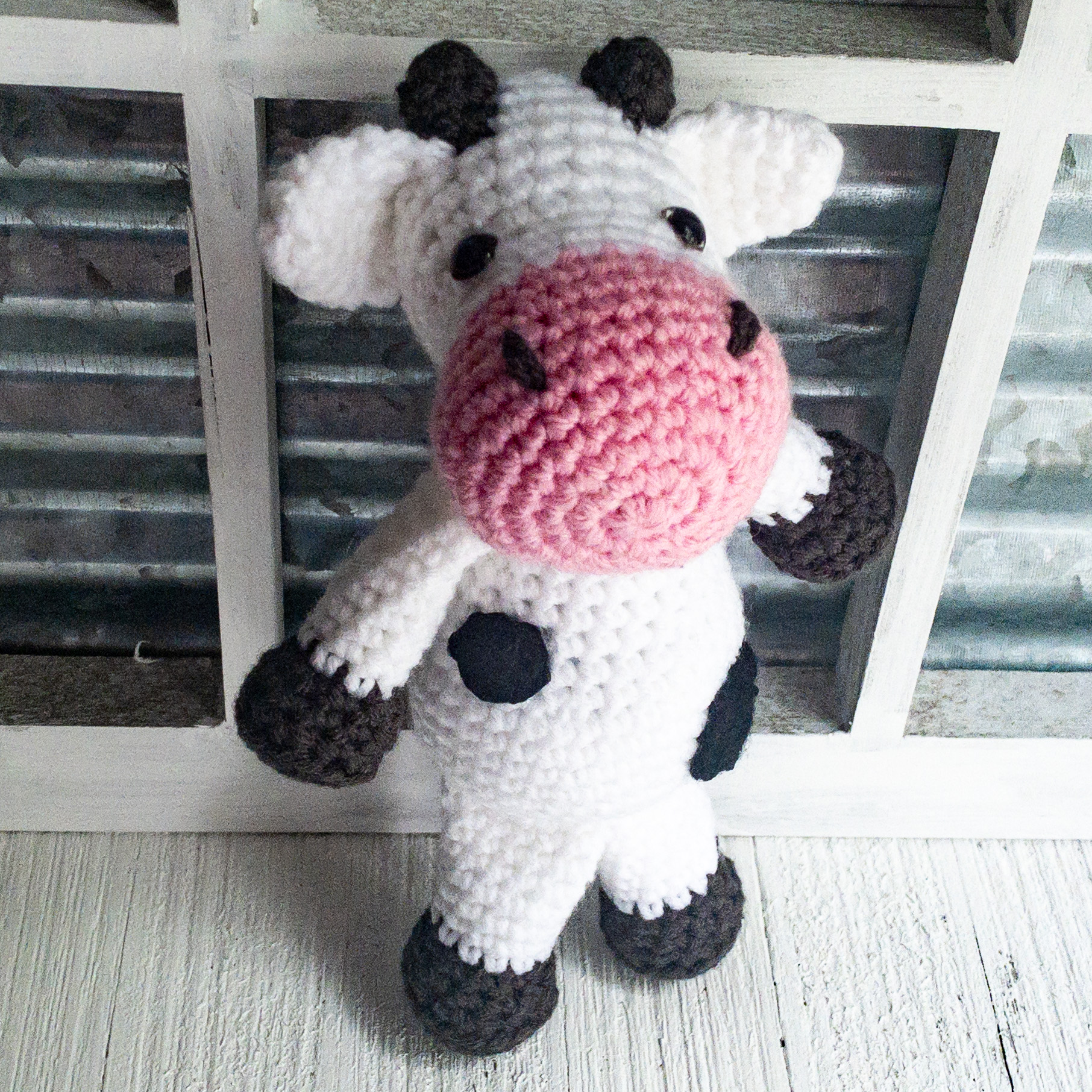 cow-baby-4