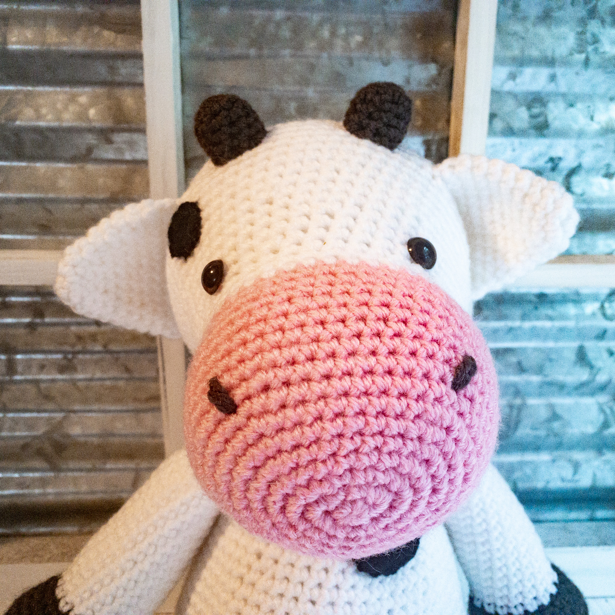 cow-bull-2