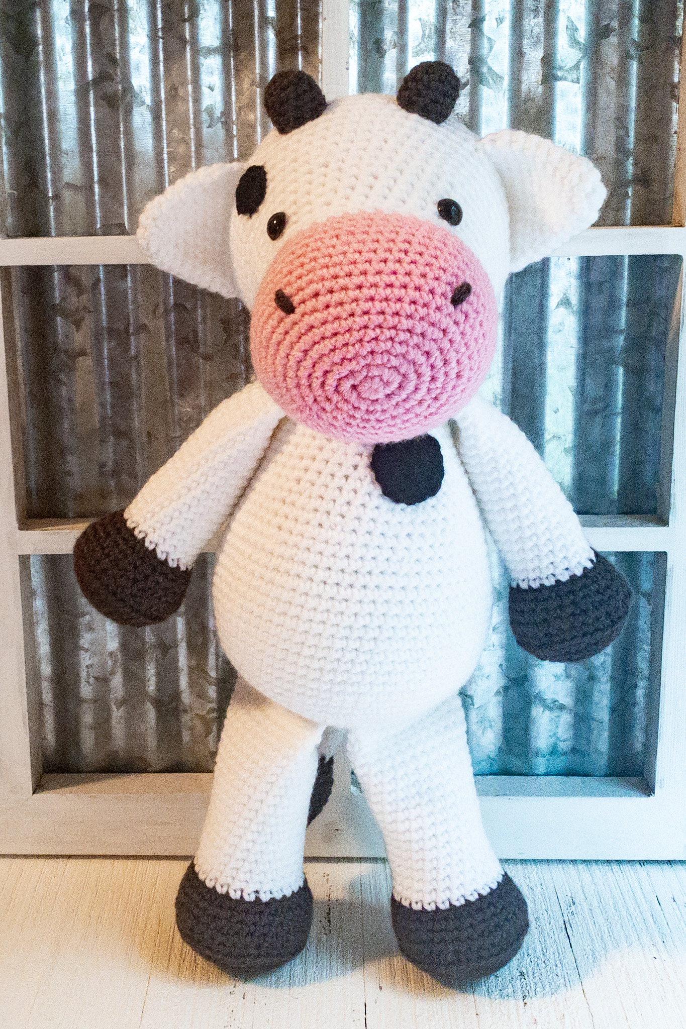 cow-bull-4