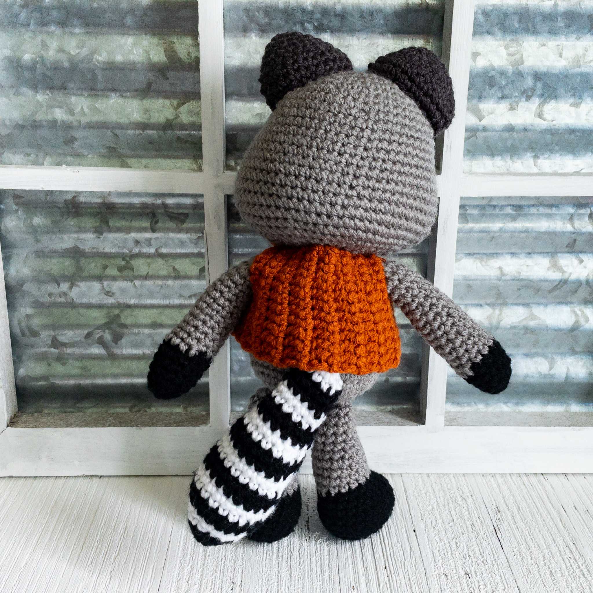 raccoon-orange-2
