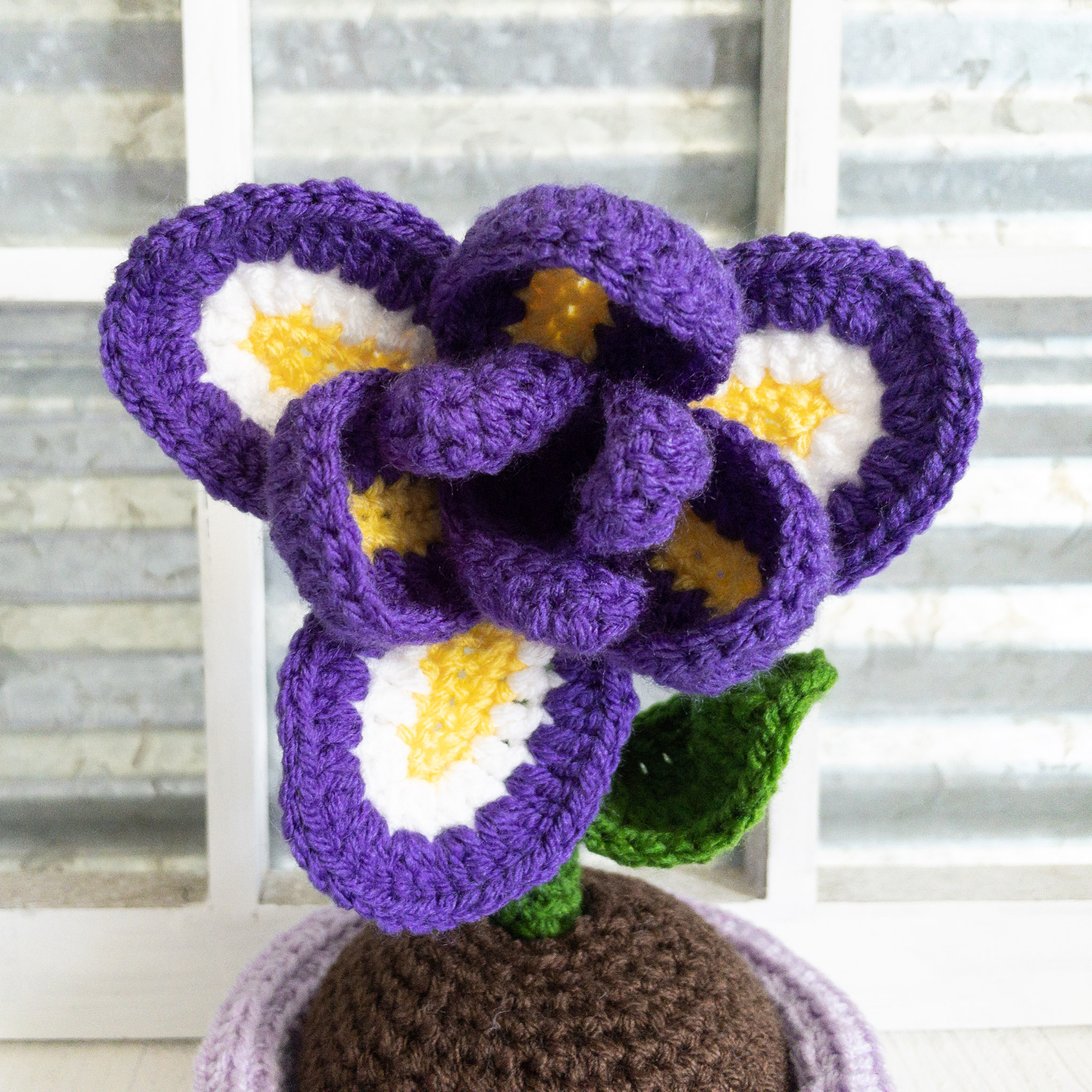 flowerpen-iris-purple-07